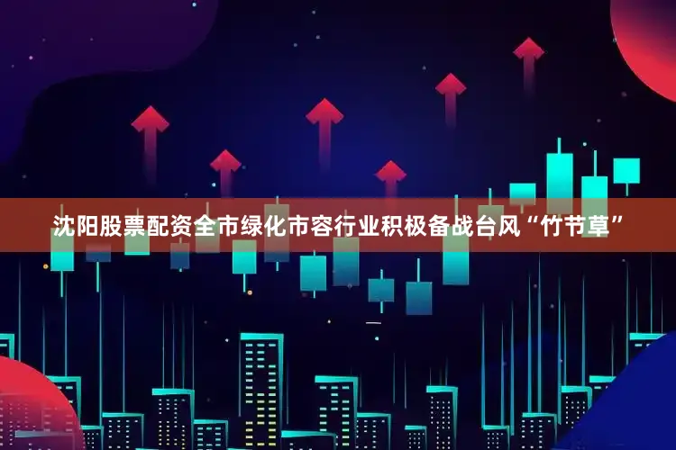 沈阳股票配资全市绿化市容行业积极备战台风“竹节草”